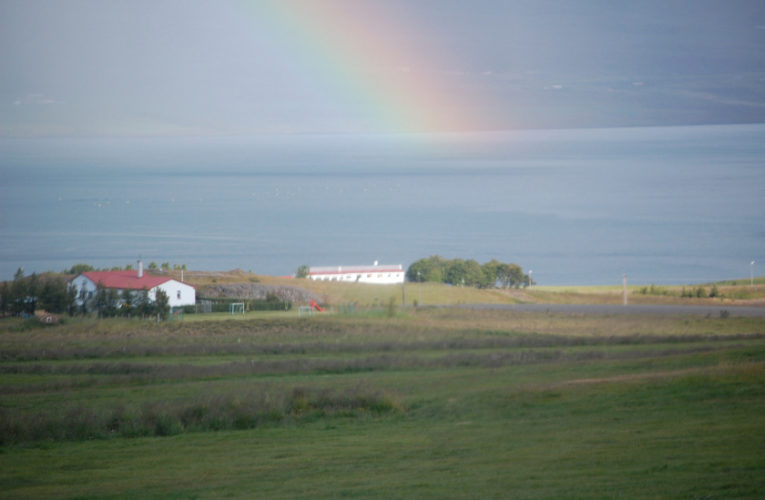 Honolulu: Is he really my true Valentine? Love and PTSD.