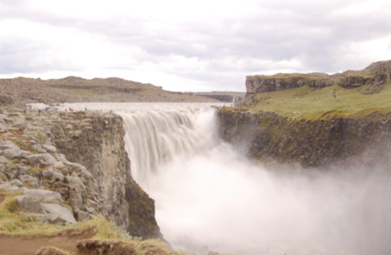 Honolulu: Help! I’m a lost little amoeba in this big PTSD ecosystem