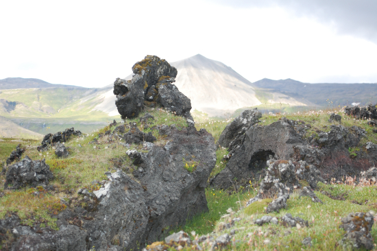 Honolulu: Complications arise with a new job. Fear of oversharing when you are a PTSD survivor.