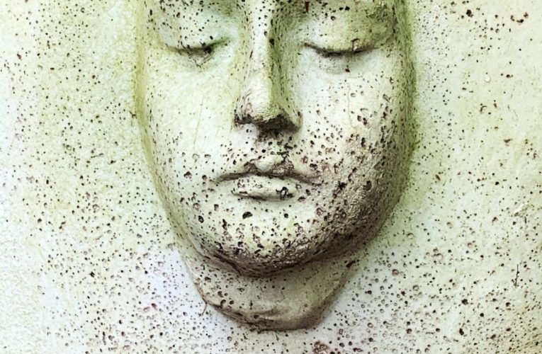 PTSD Book for Veterans and Trauma Sufferers in Honolulu